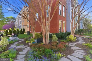 423 L St SE, Washington, DC 20003 - Photo 57