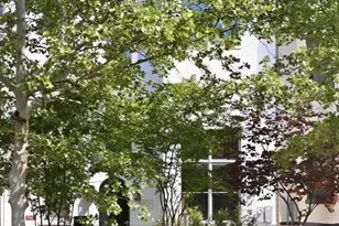 1007 O St NW, Washington, DC 20001 - Photo 57