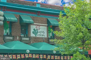 3101 New Mexico Ave NW, Washington, DC 20016 - Photo 27