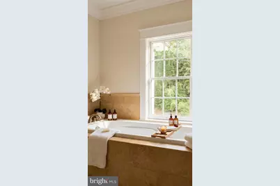 2913 University Terrace NW, Washington, DC 20016 - Photo 29