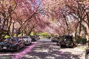4400 Q St NW, Washington, DC 20007 - Photo 49