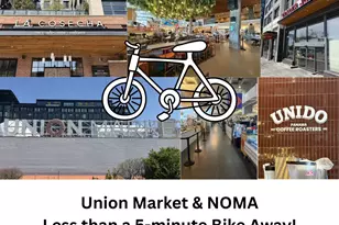 1127 Trinidad Ave NE, Washington, DC 20002 - Photo 3