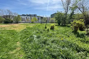 4236 6th St SE, Washington, DC 20032 - Photo 9