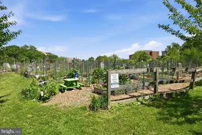 3450 39th Street NW #D688, Washington, DC 20016 - Photo 23