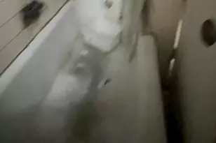 1151 44th Pl SE, Washington, DC 20019 - Photo 49