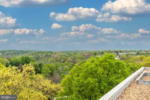 1801 Clydesdale Pl NW, Washington, DC 20009 - Photo 25