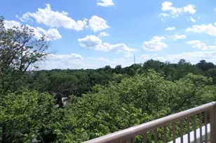 4600 Connecticut Ave NW, Washington, DC 20008 - Photo 15