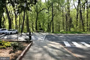 4114 Davis Pl NW, Washington, DC 20007 - Photo 19