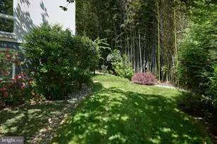 2867 Tilden St NW, Washington, DC 20008 - Photo 81