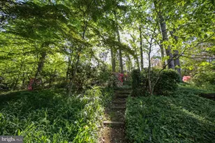 2824 Ellicott St NW, Washington, DC 20008 - Photo 25