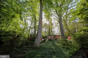 2824 Ellicott St NW, Washington, DC 20008 - Photo 31