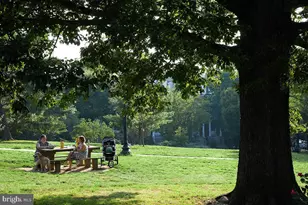 1750 Harvard St NW, Washington, DC 20009 - Photo 27