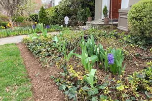 4414 Lowell St NW, Washington, DC 20016 - Photo 5