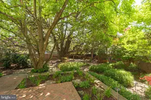 5103 Chevy Chase Pkwy NW, Washington, DC 20008 - Photo 51