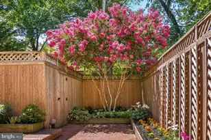 3808 Klingle Pl NW, Washington, DC 20016 - Photo 45