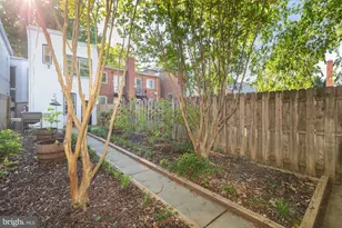 238 14th St SE, Washington, DC 20003 - Photo 43