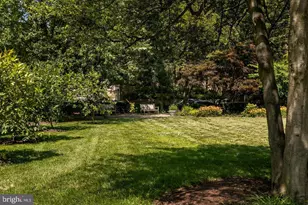 4600 Connecticut Ave NW, Washington, DC 20008 - Photo 29
