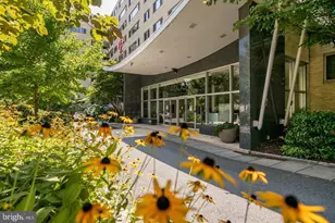 4600 Connecticut Ave NW, Washington, DC 20008 - Photo 1
