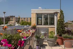 4600 Connecticut Ave NW, Washington, DC 20008 - Photo 31