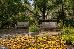4600 Connecticut Ave NW, Washington, DC 20008 - Photo 25