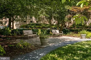 4600 Connecticut Ave NW, Washington, DC 20008 - Photo 5