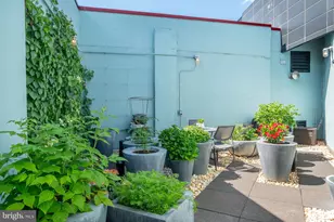 3303 Water Street NW, Washington, DC 20007 - Photo 33
