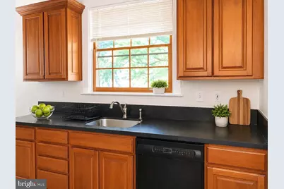 4843 Butterworth Place NW, Washington, DC 20016 - Photo 7