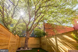 1536 5th St NW, Washington, DC 20001 - Photo 29