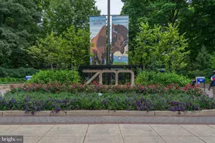 3815 Rodman St NW, Washington, DC 20016 - Photo 15