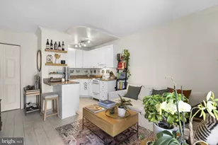 2515 P St NW, Washington, DC 20007 - Photo 13