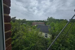 428 Ridge Rd SE, Washington, DC 20019 - Photo 15