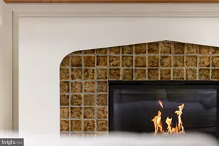 3615 49th St NW, Washington, DC 20016 - Photo 21