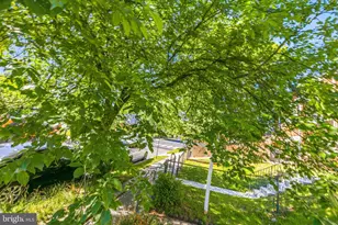 206 53rd St NE, Washington, DC 20019 - Photo 29