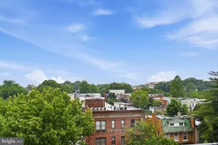 256 15th St SE, Washington, DC 20003 - Photo 45