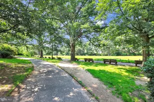 3035 15th St NW, Washington, DC 20009 - Photo 43