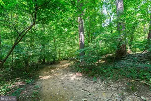2725 39th Street NW, Washington, DC 20007 - Photo 35