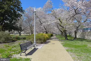 424 East Capitol St NE, Washington, DC 20003 - Photo 23