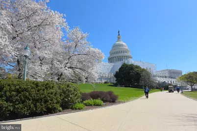 424 E Capitol Street NE #3, Washington, DC 20003 - Photo 25
