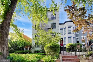 116 North Carolina Ave SE, Washington, DC 20003 - Photo 3