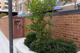 2939 Van Ness St NW, Washington, DC 20008 - Photo 47