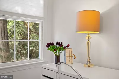 1062 Thomas Jefferson Street NW, Washington, DC 20007 - Photo 41