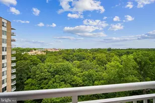 3001 Veazey Terrace NW, Washington, DC 20008 - Photo 11
