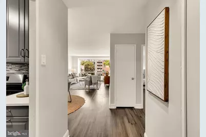 1425 4th Street SW #A315, Washington, DC 20024 - Photo 3