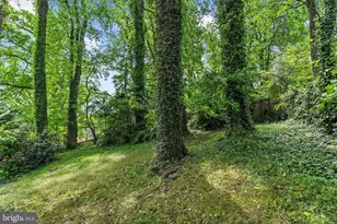 4530 Dexter St NW, Washington, DC 20007 - Photo 43