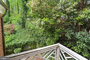 4530 Dexter St NW, Washington, DC 20007 - Photo 17