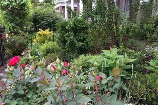 3150 19th St NW, Washington, DC 20010 - Photo 3