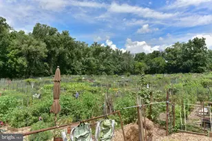 3918 W St NW, Washington, DC 20007 - Photo 27