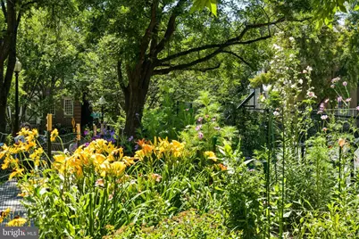 2032 Belmont Road NW #211, Washington, DC 20009 - Photo 53
