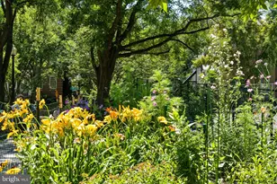 2032 Belmont Road NW, Washington, DC 20009 - Photo 53