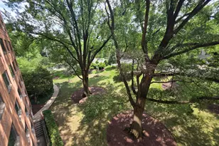 4201 Cathedral Ave NW, Washington, DC 20016 - Photo 87